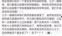 红星新闻怎么发布爆料的,揭秘事件背后真相