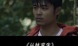 密林 电影在线观看,揭秘神秘森林的惊悚之旅